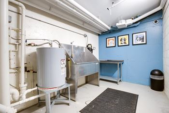Pet washing station